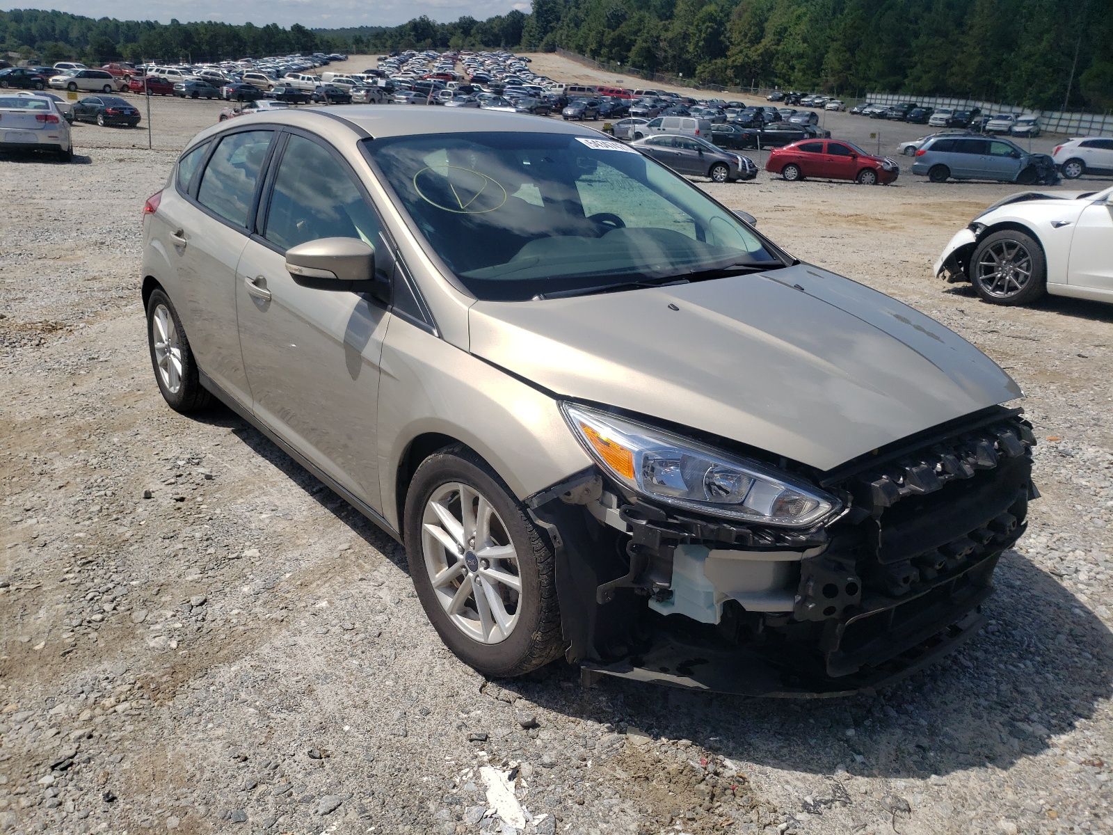 1 of 1FADP3K20GL262239 Ford Focus 2016