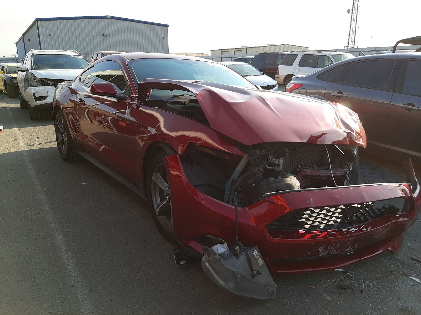 1 of 1FA6P8AM6G5246849 Ford Mustang 2016